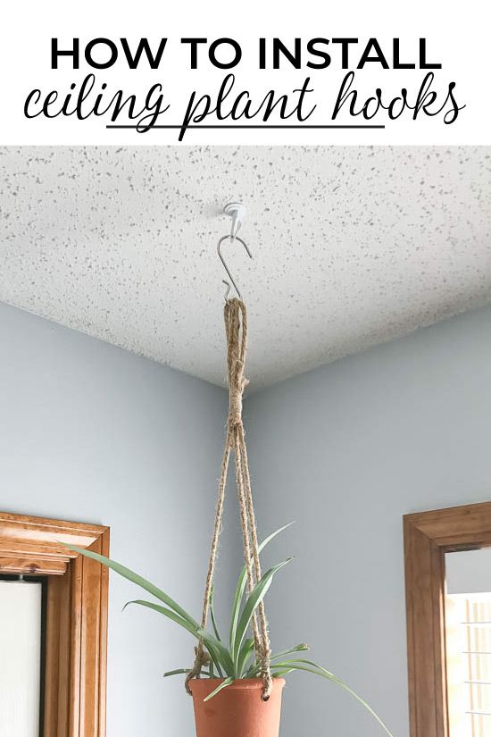 a potted plant hanging from the ceiling with text overlay that reads how to install ceiling plant hooks