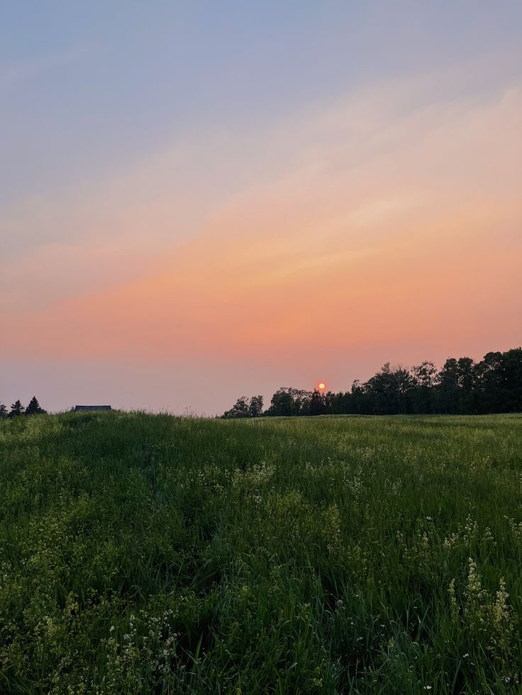 the sky is pink and orange as the sun sets over a grassy field with trees in the distance