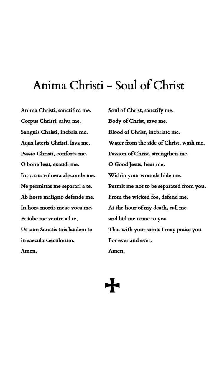 an open book with black and white text on the cover, which reads'animal christ - soul of christ '