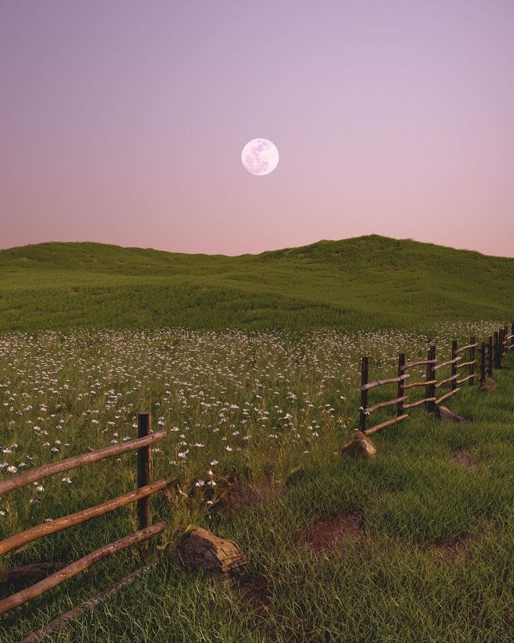 a fence in the middle of a field with flowers on it and a full moon