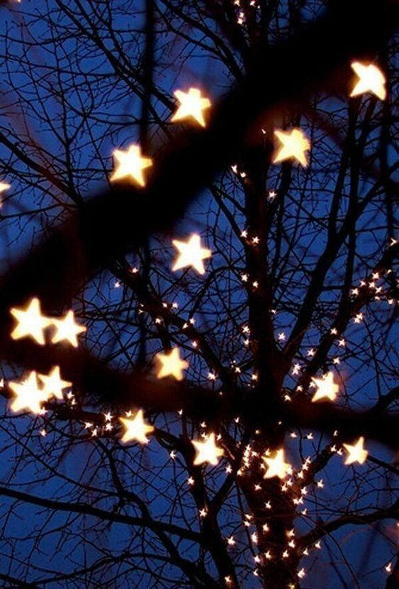 stars are lit up in the night sky behind a tree with no leaves on it