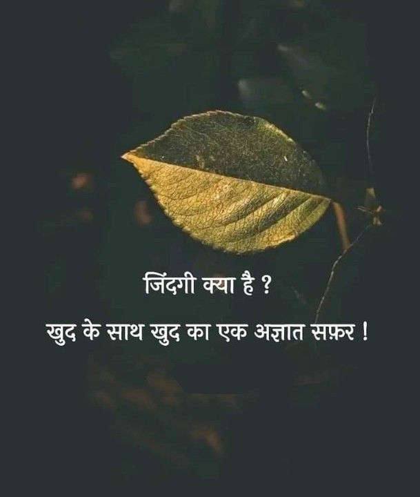 Thoughts, Hindi Quotes Life Related Quotes In Hindi, जिंदगी Quotes, Positive Thoughts Quotes In Hindi, Positive Quotes For Life Hindi, Flower Quotes In Hindi, Life Quotes Inspirational In Hindi, True Quotes In Hindi, Motivational Quotes For Life In Hindi, Motivational Quotes Positive Hindi