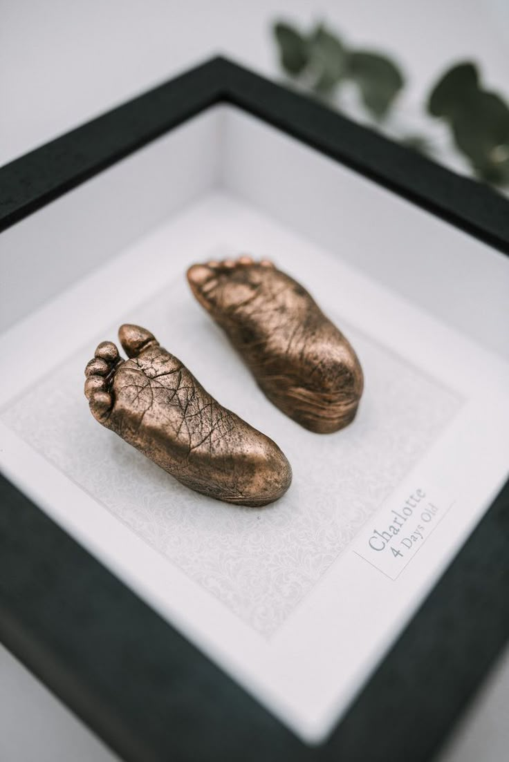 two bronze feet in a shadow box on a white surface with green plants behind it