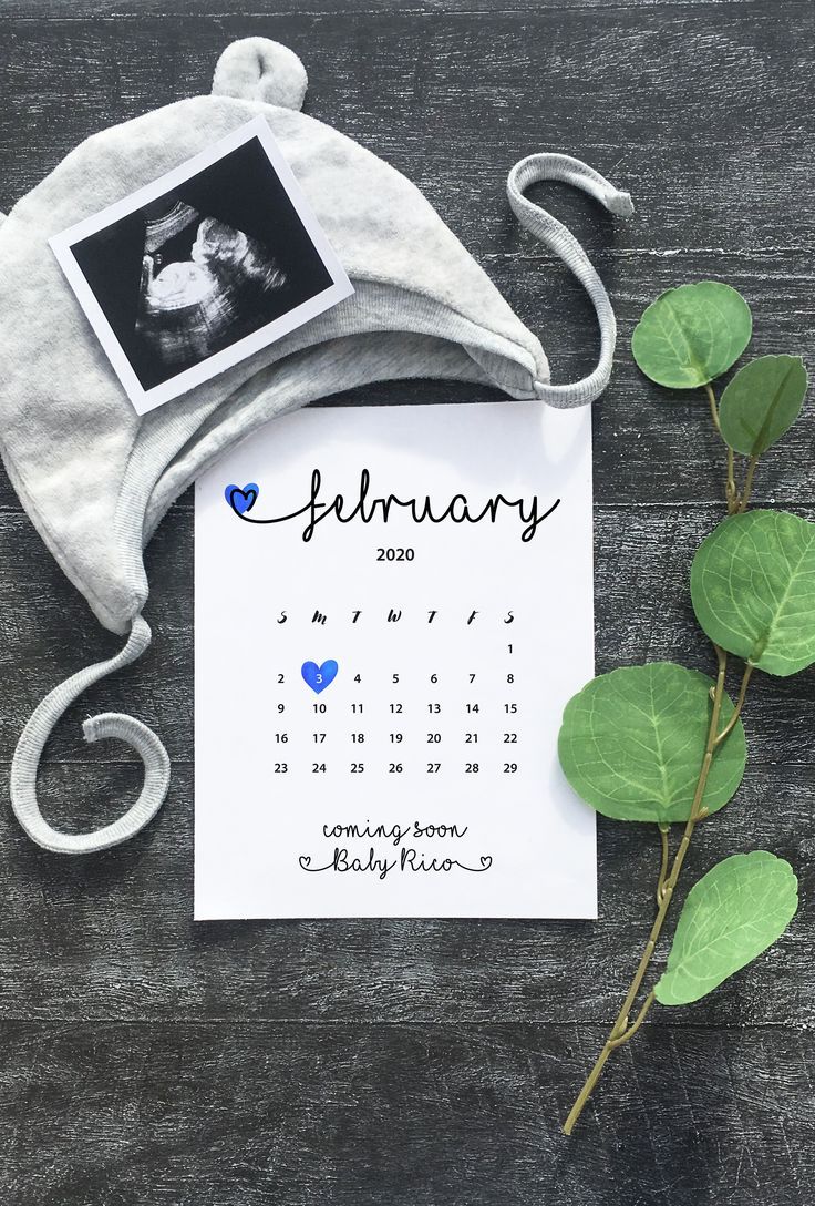 a baby's birth announcement is displayed next to a plant and an elephant hat