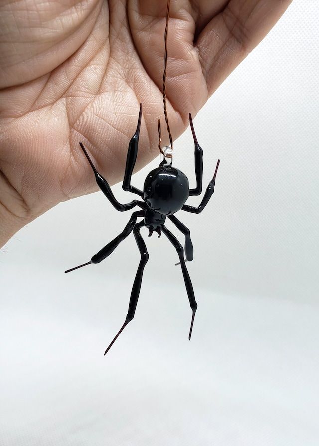 a hand holding a tiny black spider in it's palm