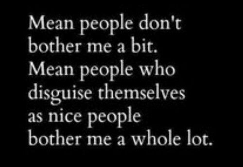 the words mean people don't brother me a bit mean people who discuss themselves as nice