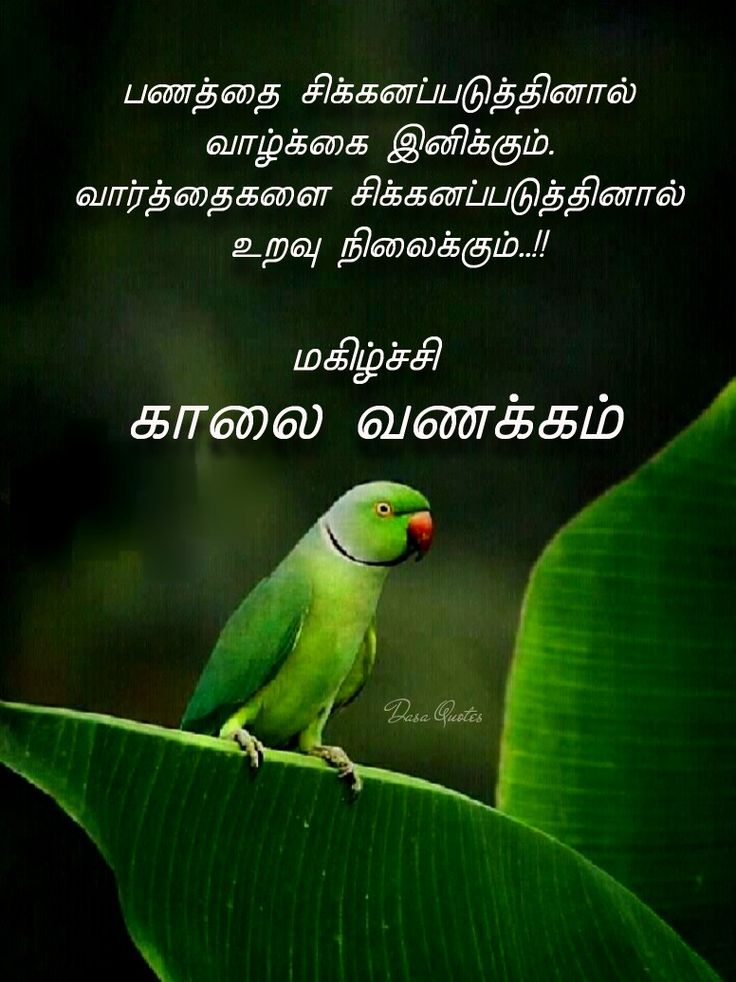 a green bird sitting on top of a leaf next to a quote from the poem