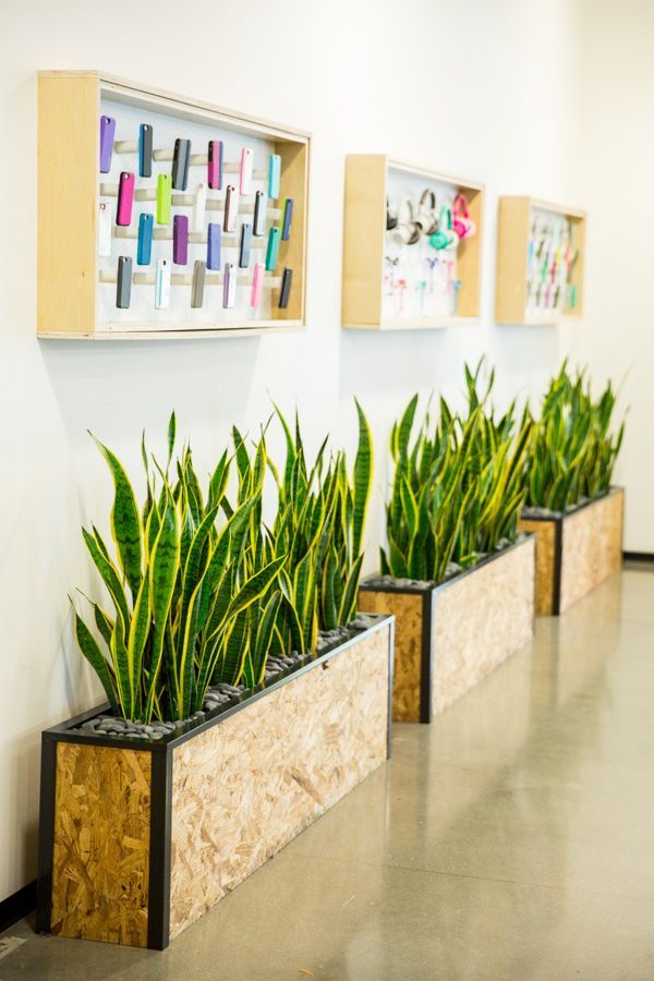 three planters are lined up against the wall in front of pictures on the wall