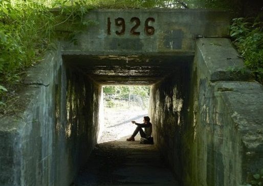 a person sitting in the middle of a tunnel with trees growing on top of it