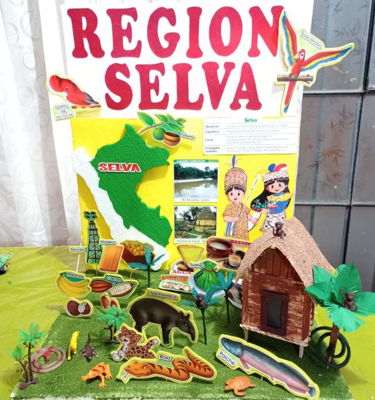 there is a sign that says region selva and many other things on the table