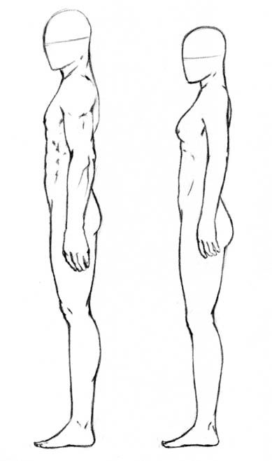 three different views of the human body, from front and back view to top view