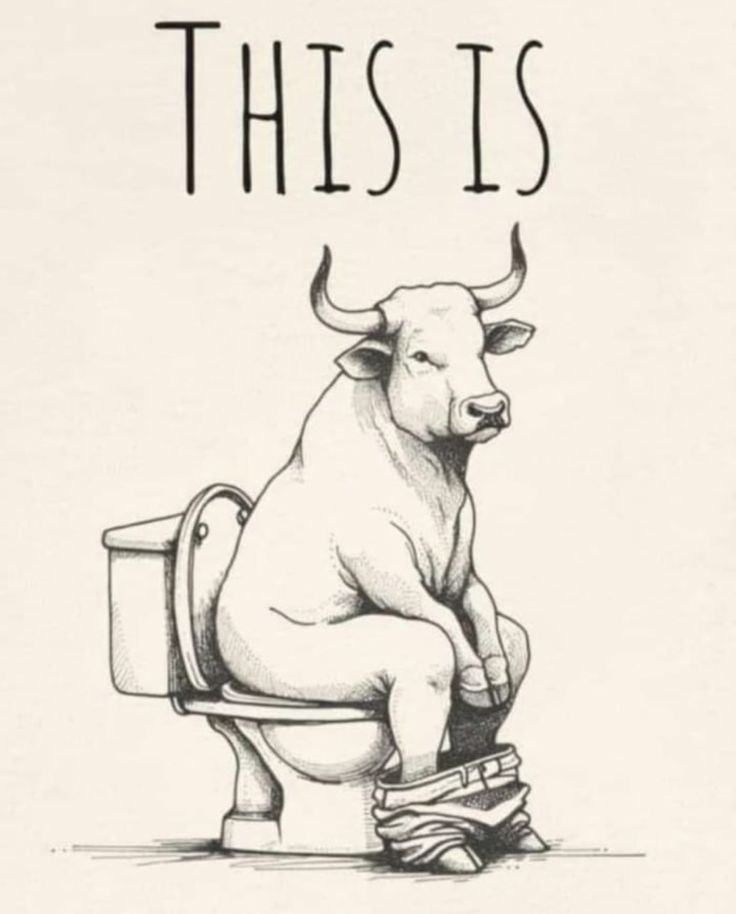 a drawing of a bull sitting on top of a toilet with the words, this is