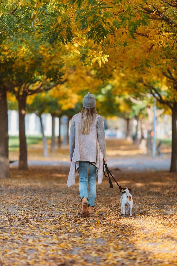 a woman is walking her dog in the park on a fall day with yellow leaves