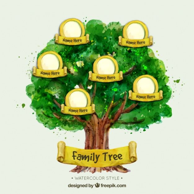 a family tree with four frames on it