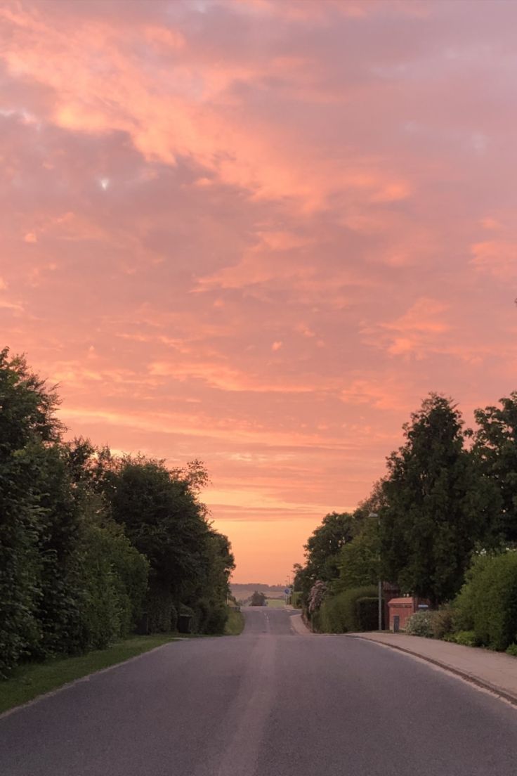 an empty road with trees and bushes on either side at sunset or dawn in the distance