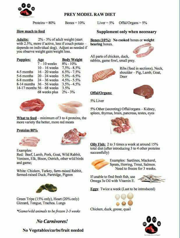 an animal diet chart with different types of meats and other things to eat on it