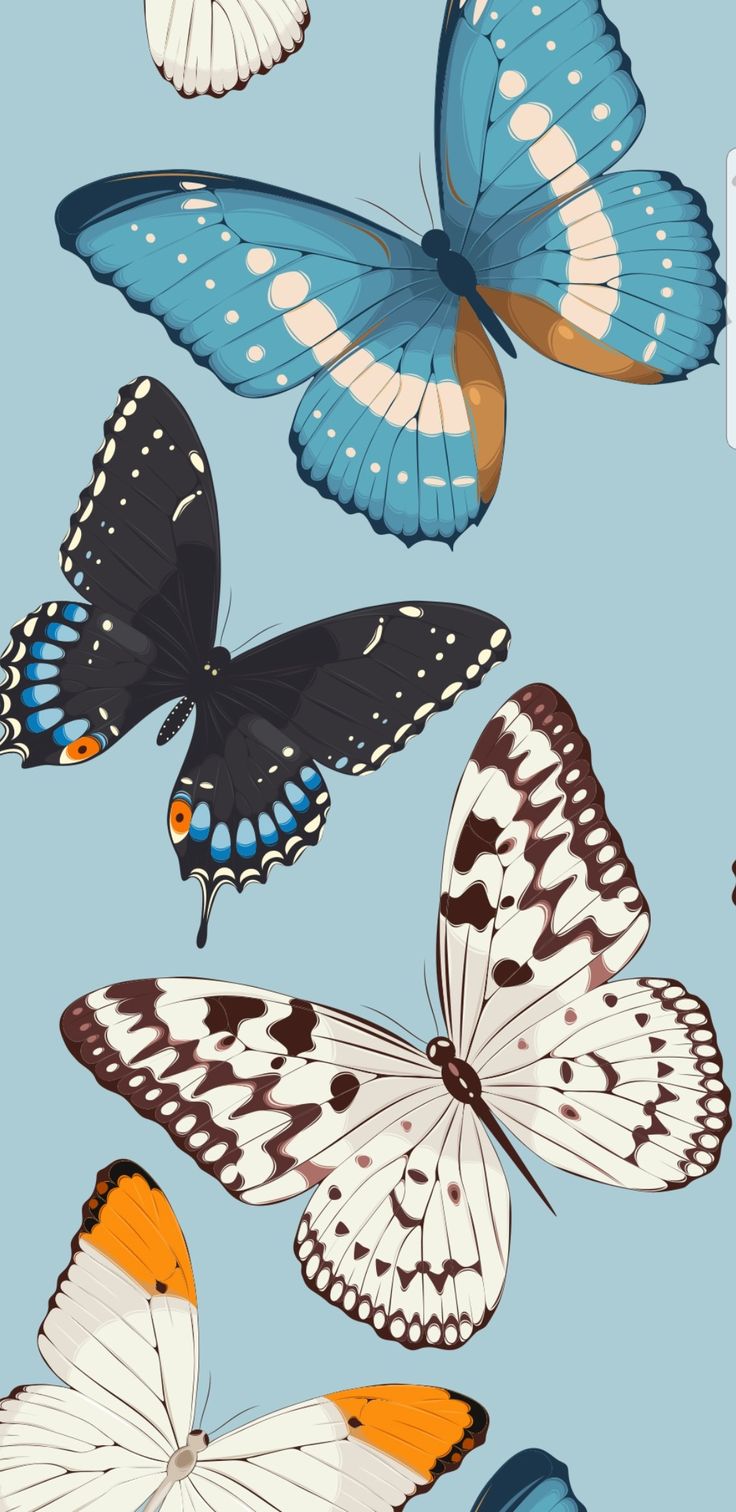 many different butterflies flying in the sky with blue and orange colors on their wing ends