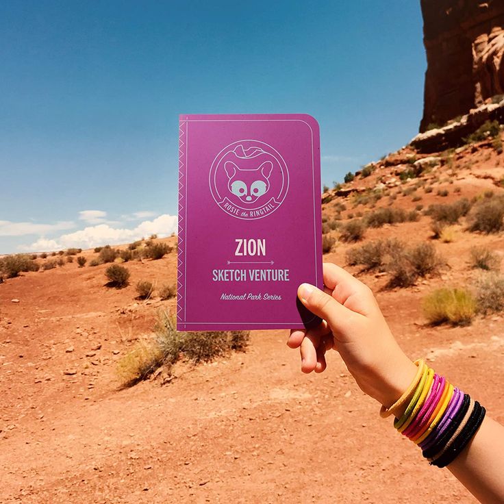 a person holding up a purple book in the desert