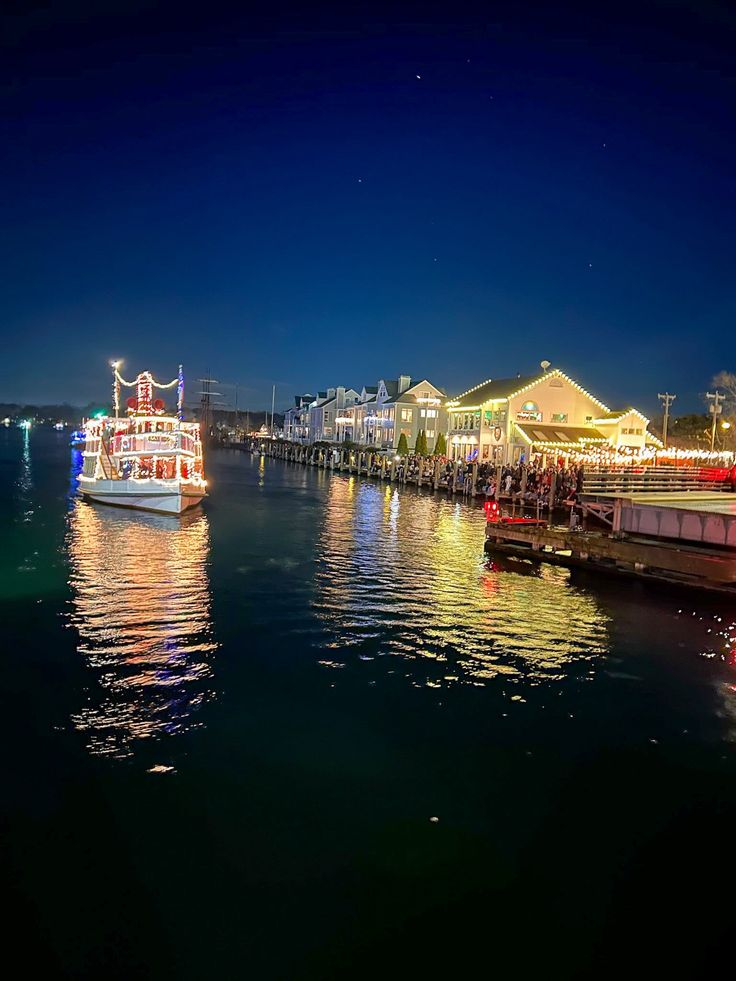 two boats are docked in the water at night with christmas lights on it's sides