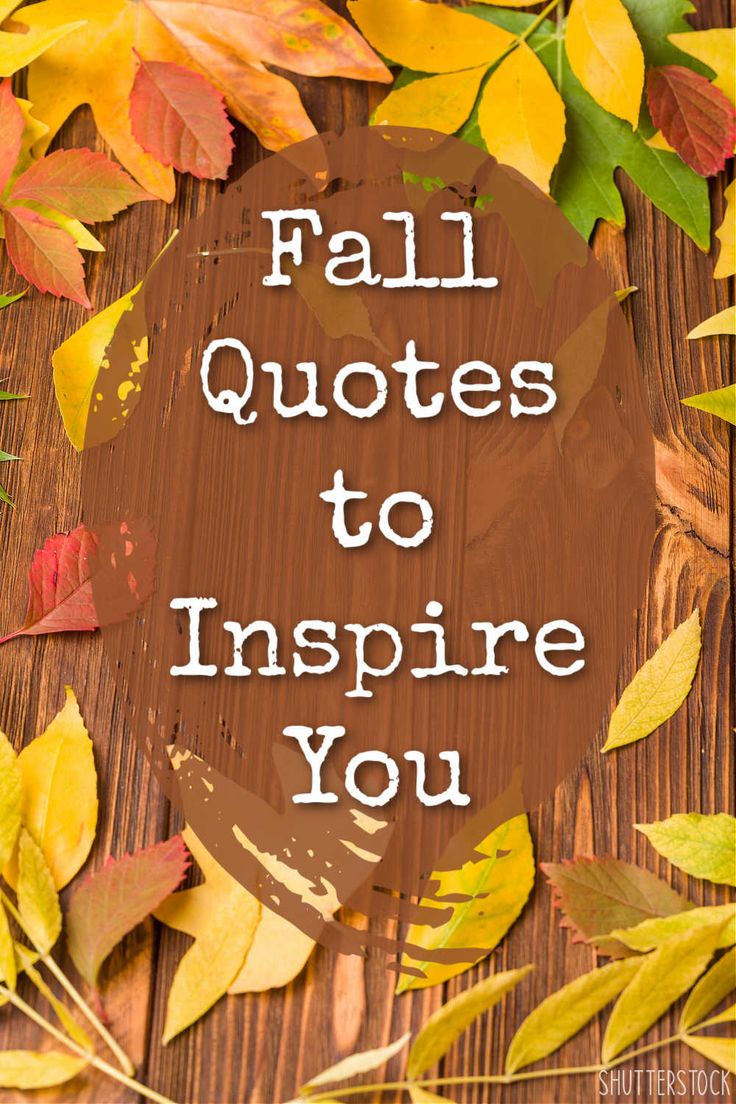 autumn leaves with the words fall quotes to inspire you