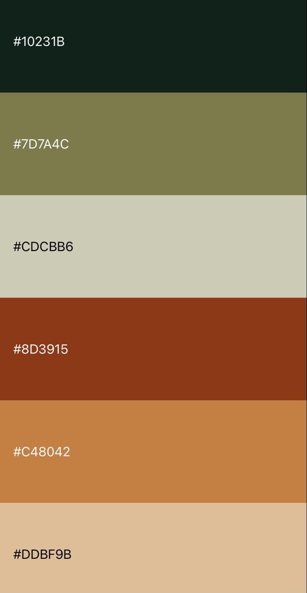 the color scheme for an interior paint swatch in shades of green, brown and beige