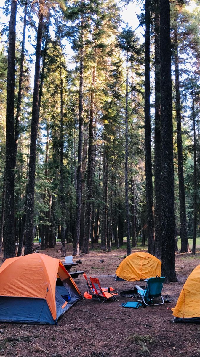 there are many tents in the woods with chairs around them and one is orange and blue