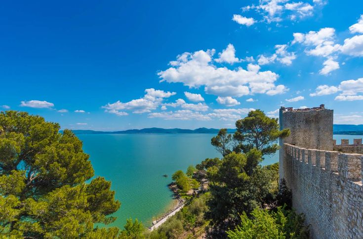 an aerial view of a castle overlooking the water and trees on a sunny day with blue skies