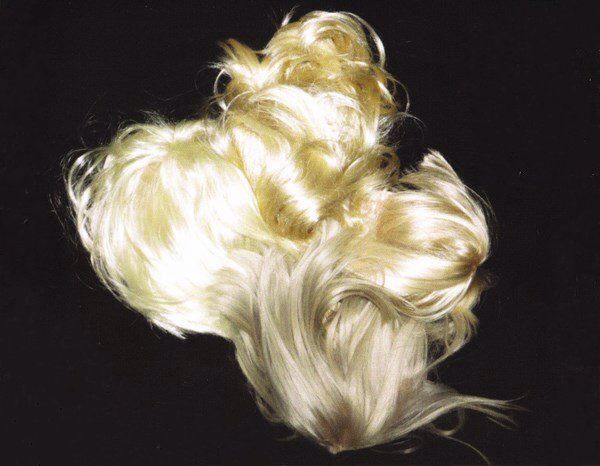 a white dog with blonde hair laying on top of it's back