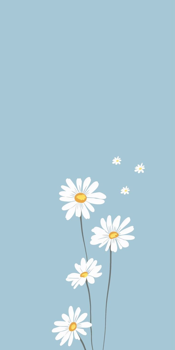 some daisies are in a vase on a blue background