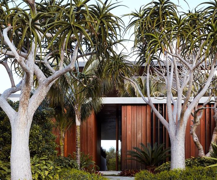 the house is surrounded by many trees and bushes, with stairs leading up to it