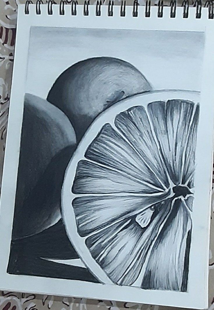 a pencil drawing of an orange slice