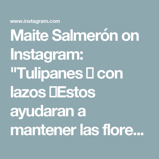 the text reads matte salmeron on instagramn tulipanes i con