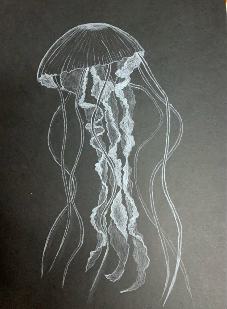 a chalk drawing of a jellyfish on a blackboard