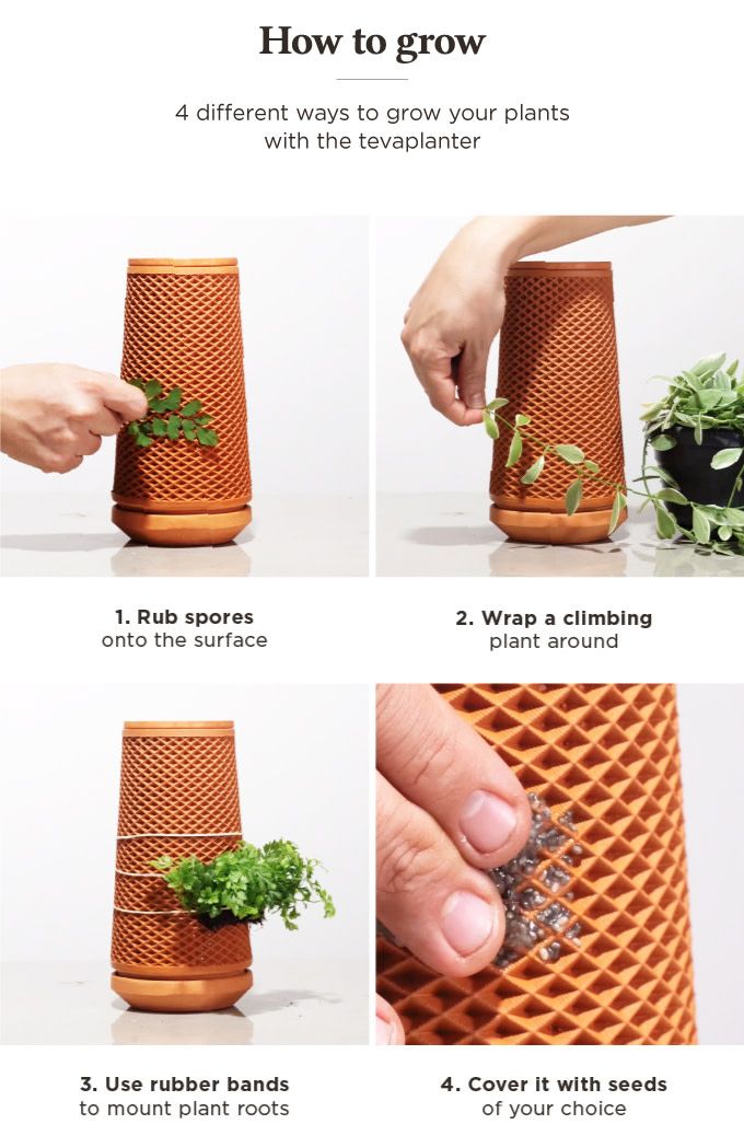 how to grow plants in a mesh container