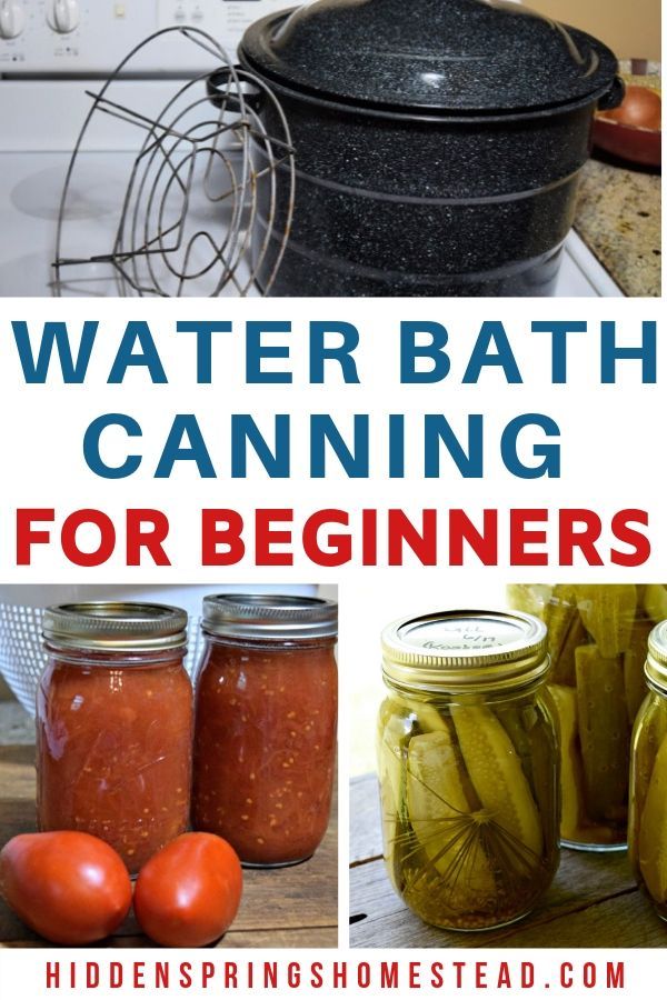 there are some jars with pickles and tomatoes in them next to the words water bath canning for beginners