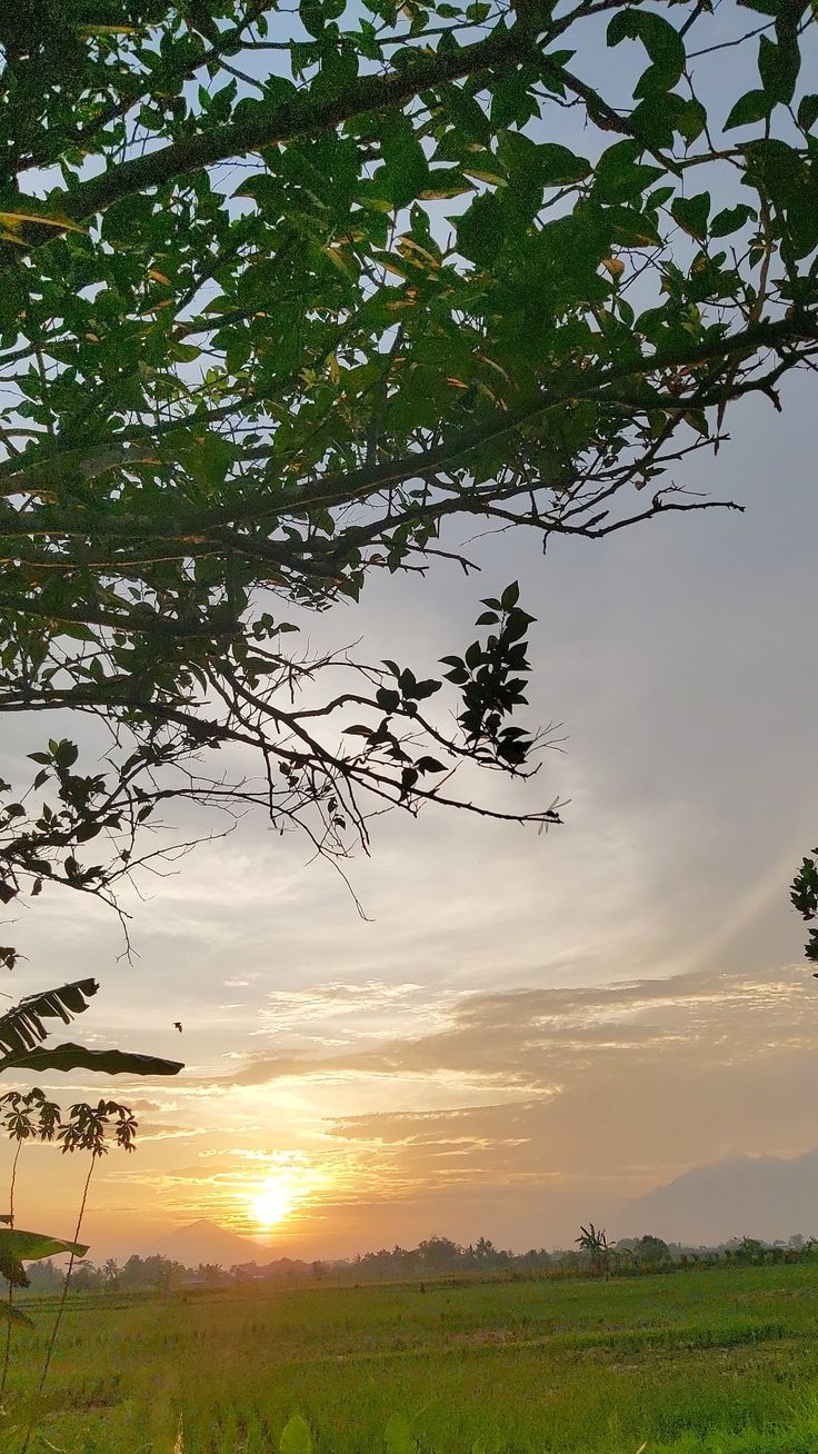 the sun is setting over an open field with grass and trees in the foreground