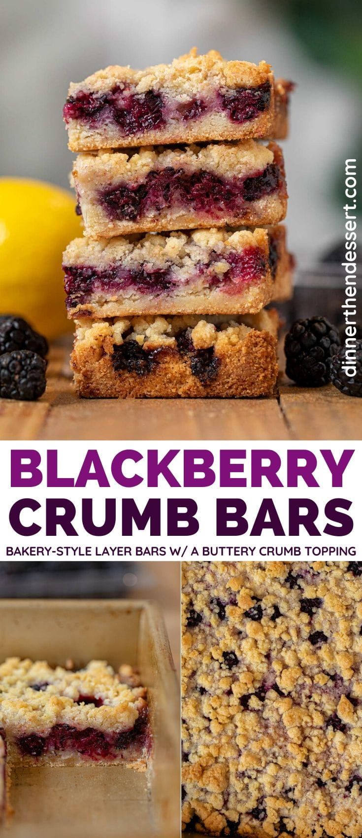 blueberry crumb bars are stacked on top of each other