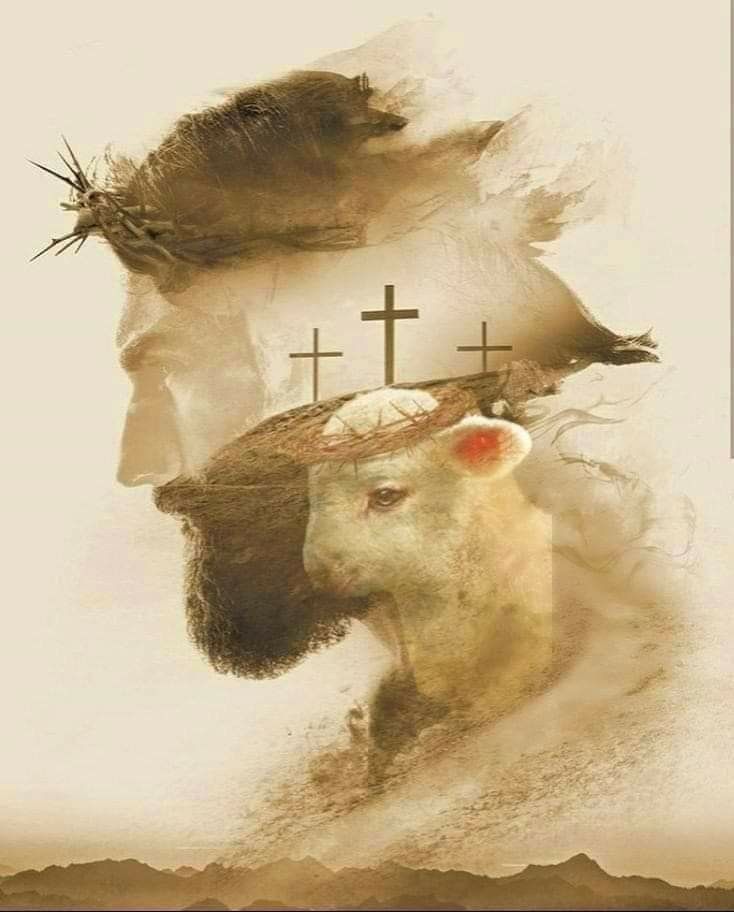 a sheep with a hat and cross on it's head in front of a white background