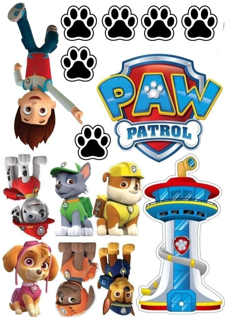 paw patrol stickers are shown in this image