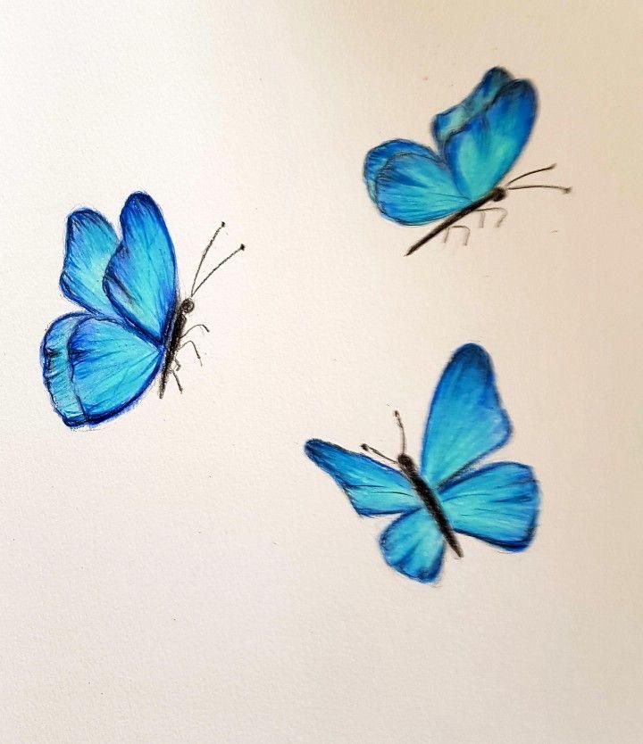 three blue butterflies flying in the air on a white surface with no one around them