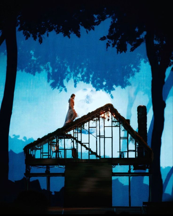 a woman standing on top of a roof in front of a tree filled forest at night