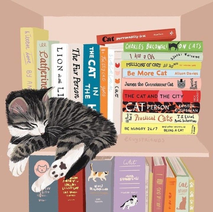 a cat sleeping on top of a bookshelf filled with lots of different books