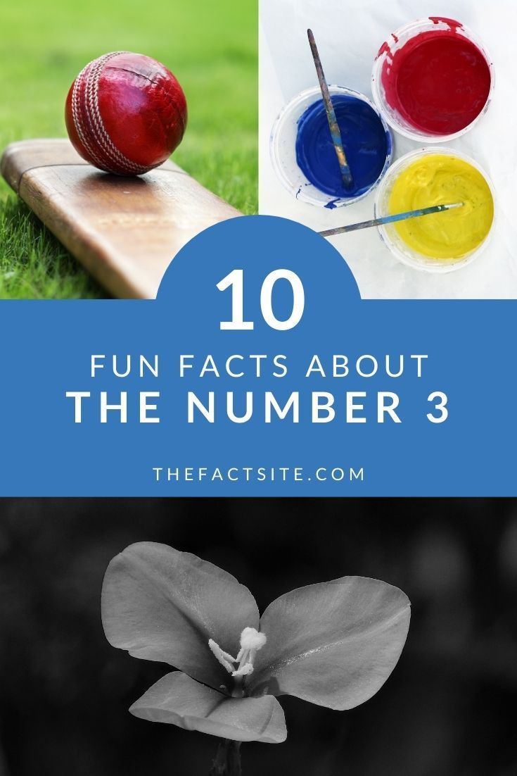 the top ten things to know about the number 3, including paint and baseball bats