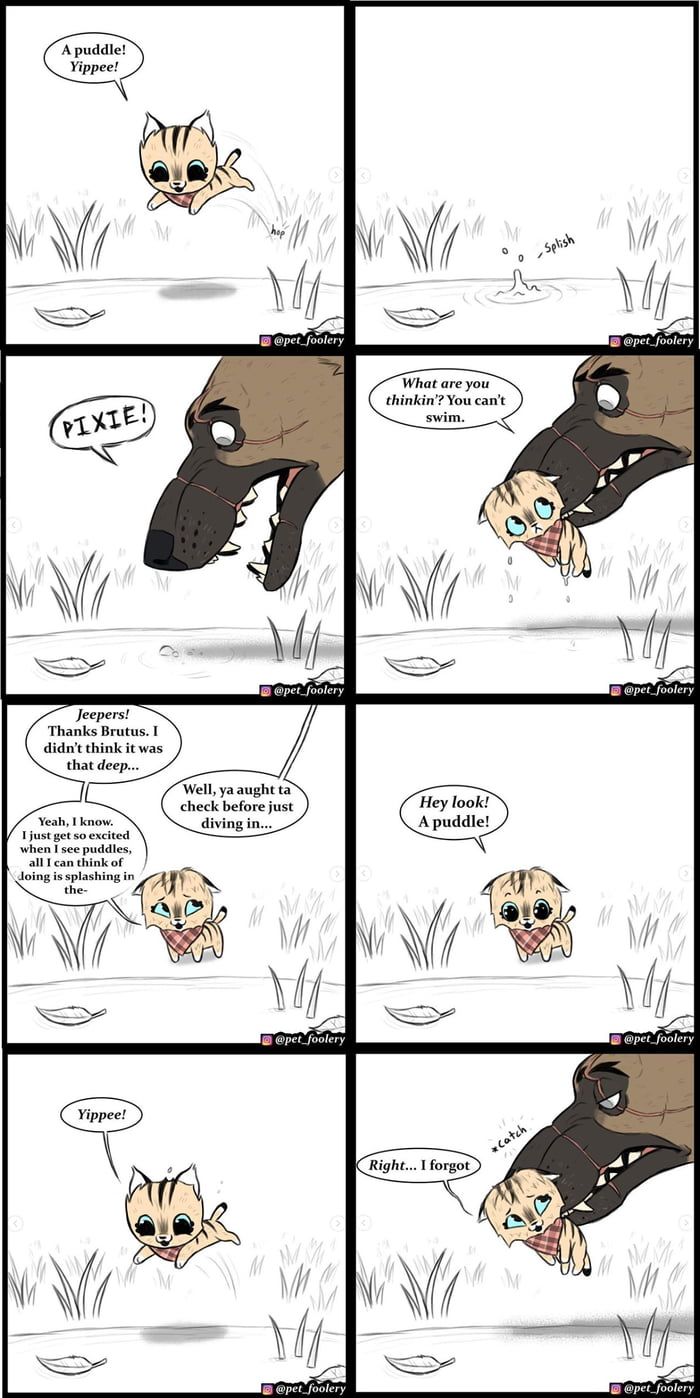 a comic strip with an image of a dog in the grass