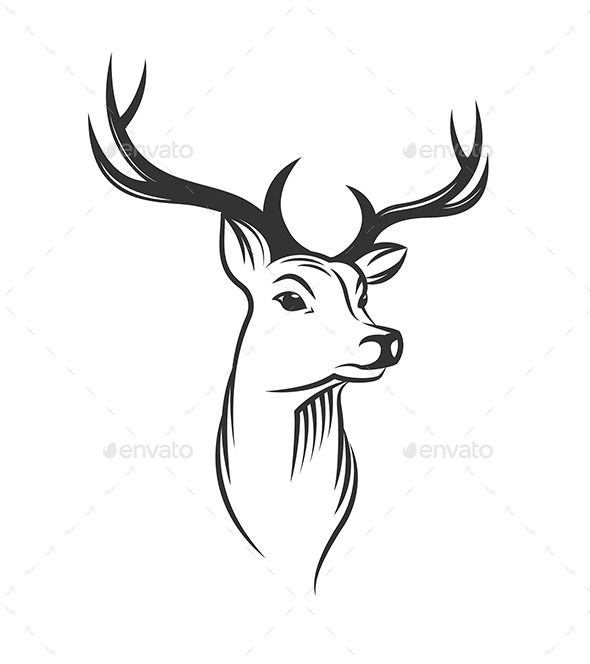 the head of a deer with antlers is drawn in black and white on a white background