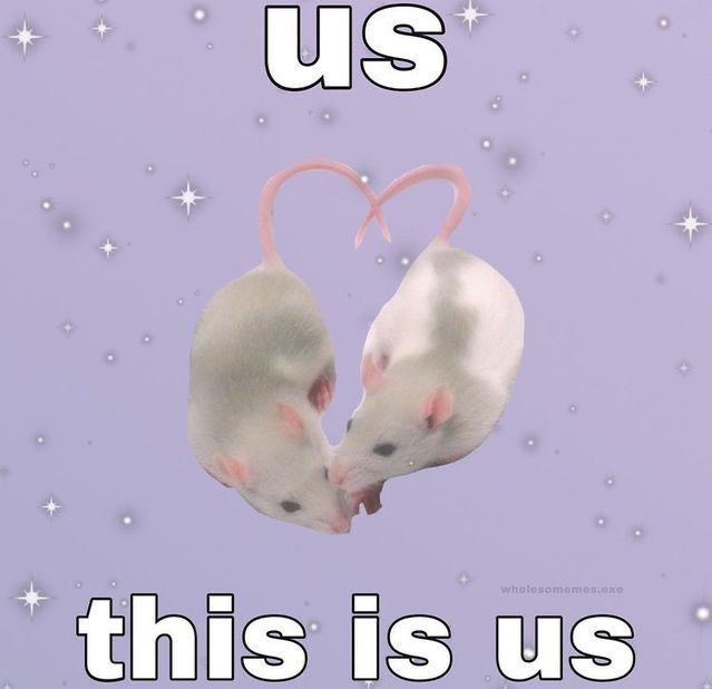 two white mice in front of a purple background with the words us this is us