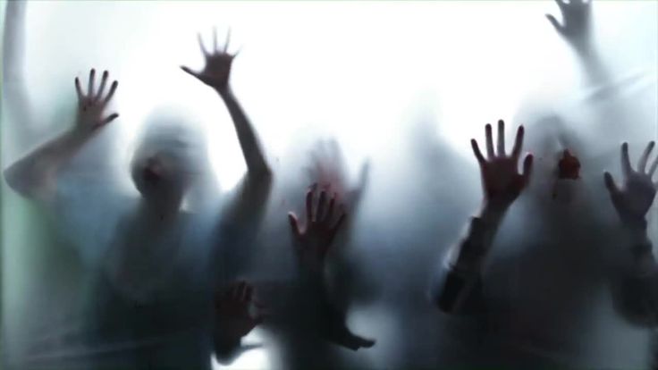 several people with their hands up in the air