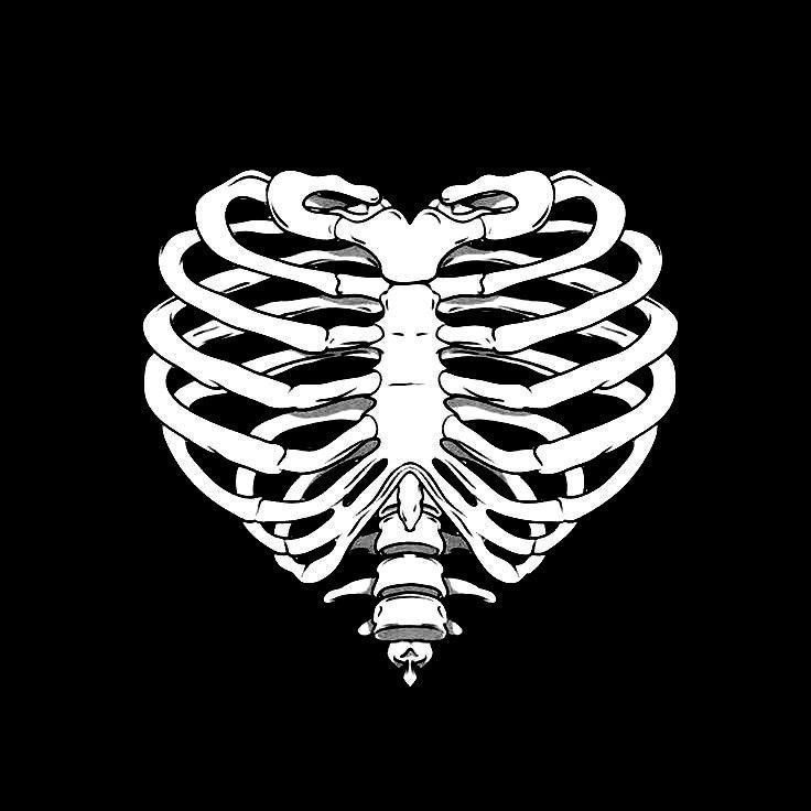 a black and white image of a skeleton in the shape of a heart