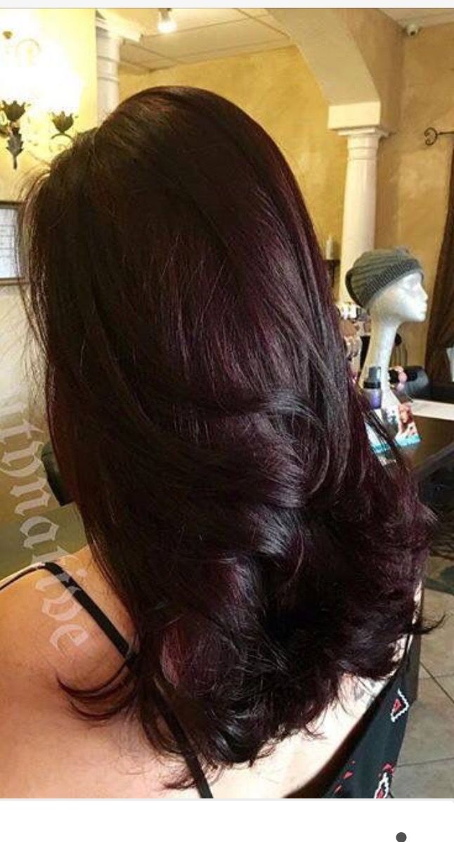 Bold Red Hair, Dark Cherry Hair, Pelo Color Vino, Burgandy Hair, Black Cherry Hair, Cherry Hair Colors, Wine Hair Color, Cherry Red Hair, Plum Hair