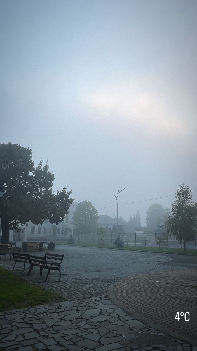 two park benches sitting next to each other on a foggy day